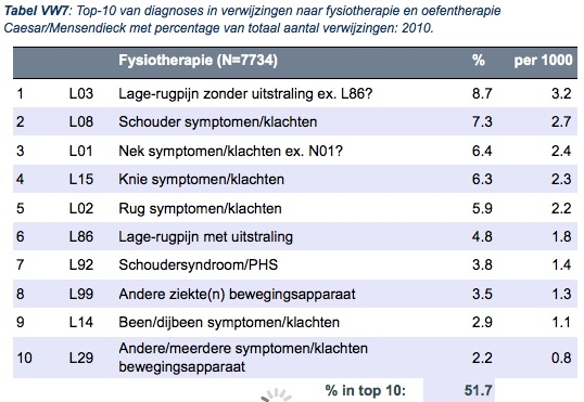 Fysiotherapie bij schouderpijn